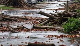 Immagine dell'articolo