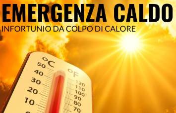 Immagine dell'articolo