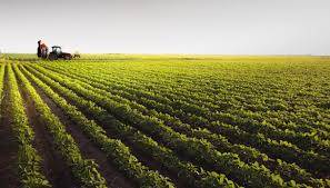 Immagine dell'articolo