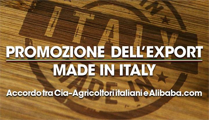 Immagine dell'articolo