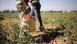 IL CLICK DAY: PER IL SETTORE AGRICOLO E TURISTICO-ALBERGHIERO