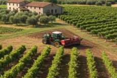 Immagine dell'articolo